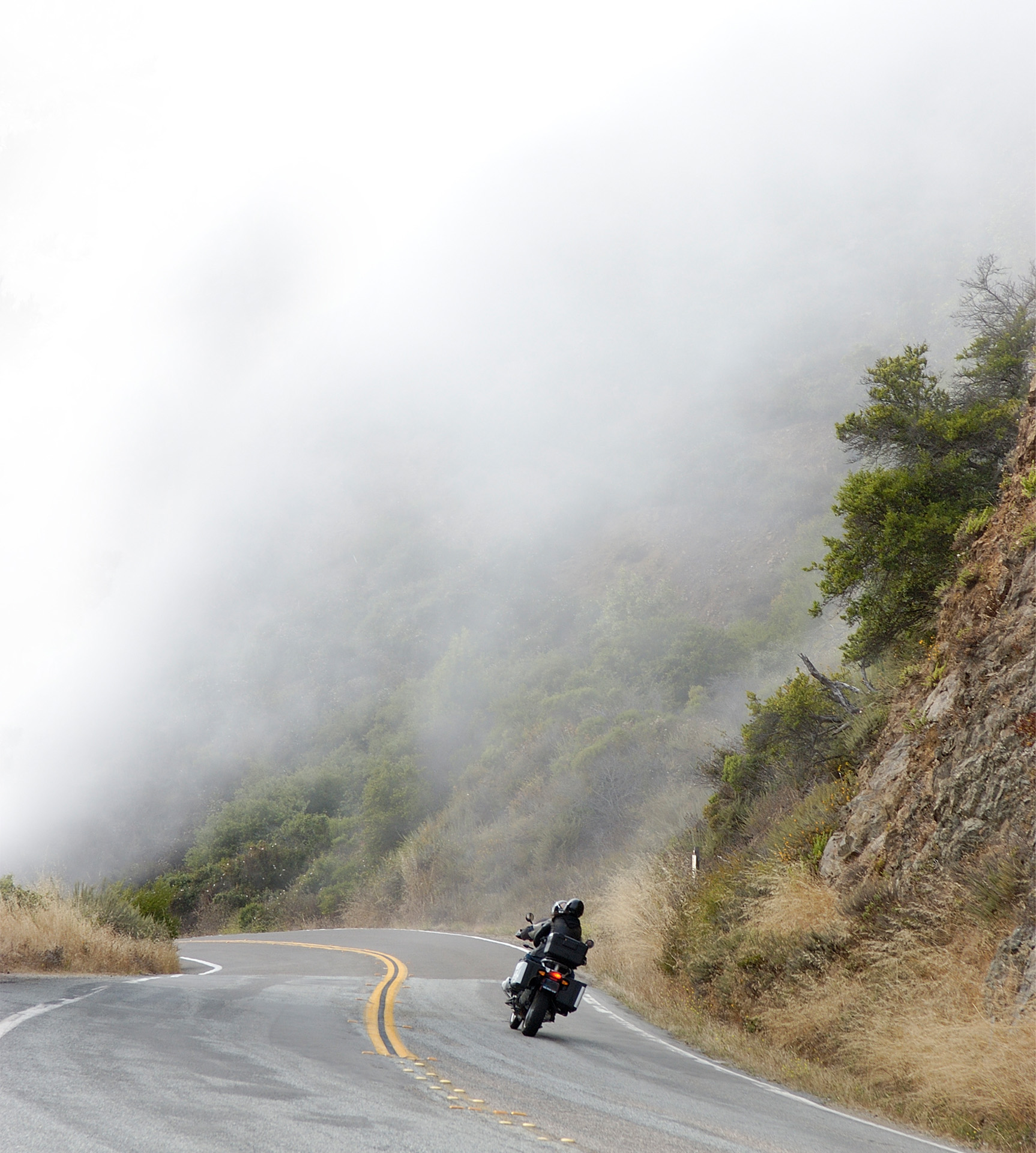 ewool-motorcycle-banner