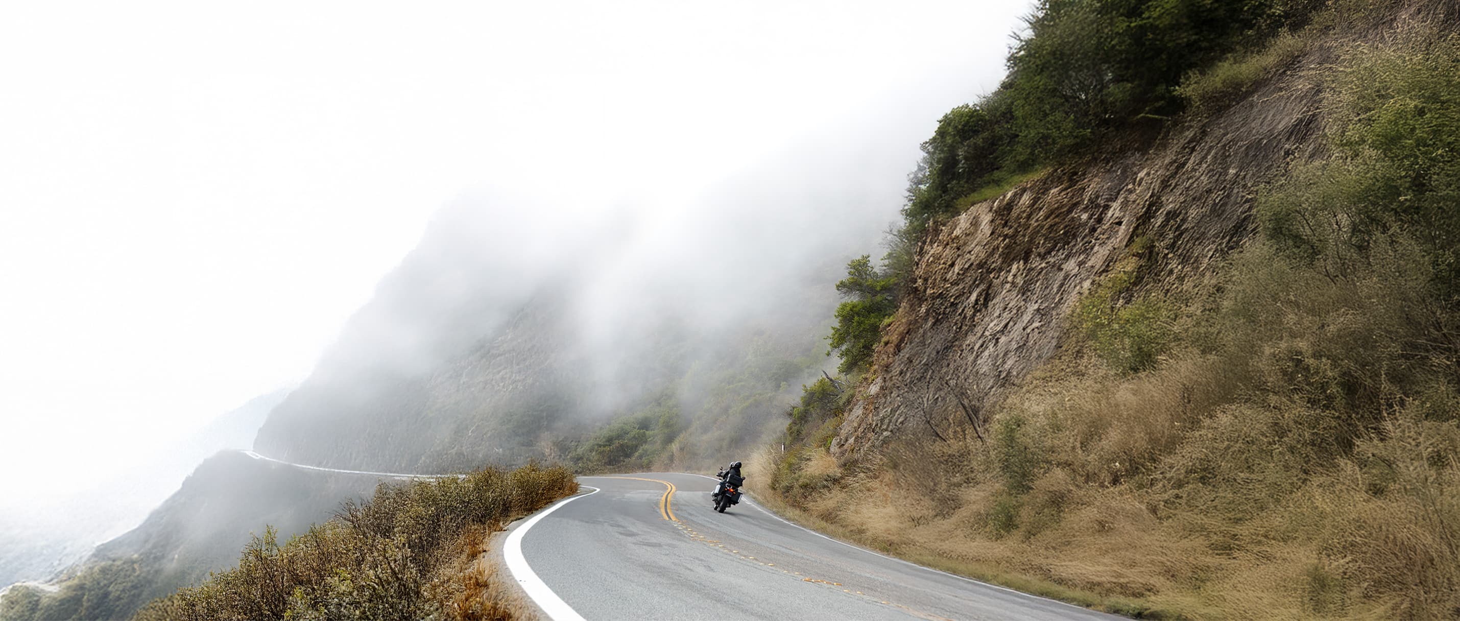 ewool-motorcycle-banner
